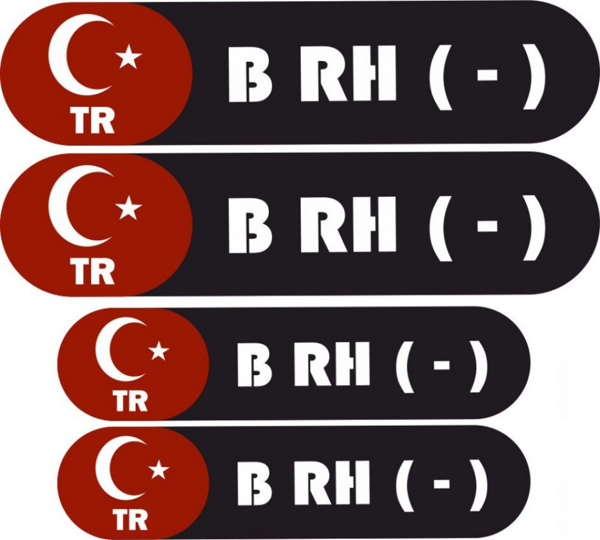 KAN GRUBU KASK ETİKETİ 4 PARÇA B RH (-) ETİKET STİCKER - Image 1