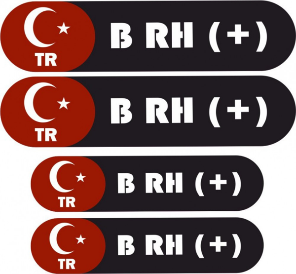 KAN GRUBU KASK ETİKETİ 4 PARÇA B RH (+) ETİKET STİCKER - Image 1