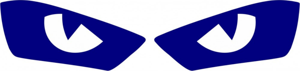 R25 FAR FİLMİ GÖZLÜ MODEL LACİVERT STİCKER - ETİKET - Image 1