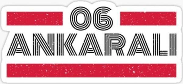 06 Ankaralı Plaka Araba Sticker Yapıştırması - Image 1