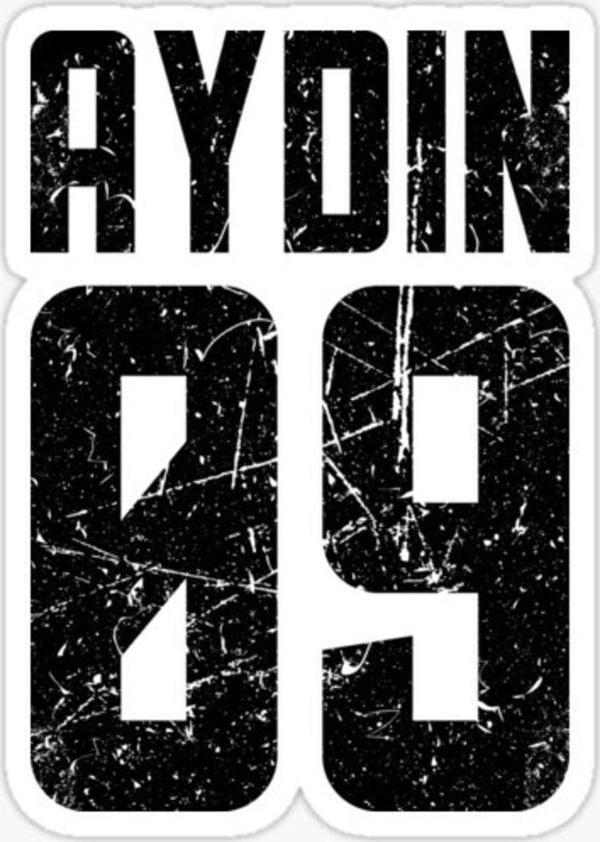 09 AYDIN Sticker Yapıştırma Oto Etiket 17cm - Image 1