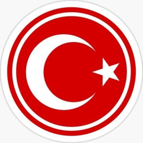 14 cm Türk Bayrağı Araba Sticker Yapıştırma - Image 1