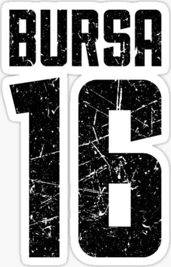 16 BURSA Sticker Yapıştırma Oto Etiket 17cm - Image 1