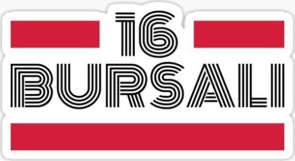 16 Bursalı Plaka Araba Sticker Yapıştırması - Image 1