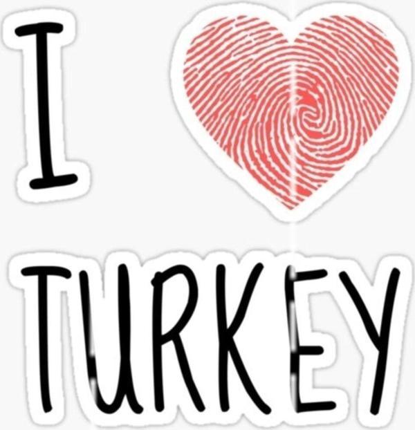 16cm I Love Turkey Yapıştırma Etiket Araba Cam Md4 - Image 1