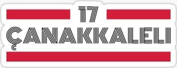 17 Çanakkaleli Plaka Araba Sticker Yapıştırması - Image 1
