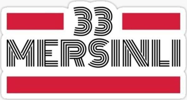 33 Mersinli Plaka Araba Sticker Yapıştırması - Image 1