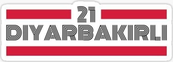 21 Diyarbakırlı Plaka Araba Sticker Yapıştırması - Image 1