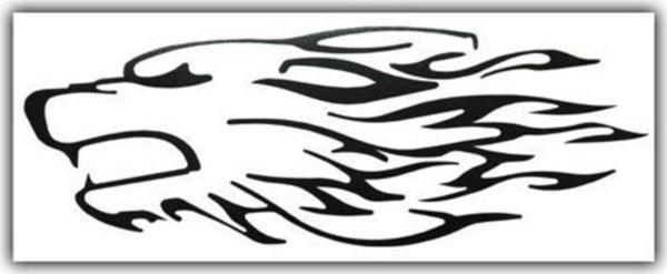 Alev Kurt Desenli Sticker Araba Yapıştırma - Image 1