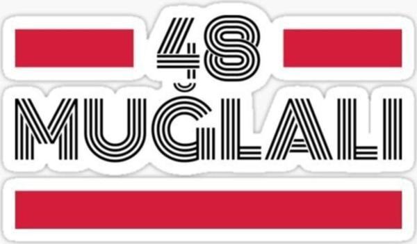 48 Muğlalı Plaka Araba Sticker Yapıştırması - Image 1