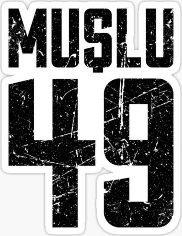 49 Muş Sticker Yapıştırma Oto Etiket 17cm - Image 1
