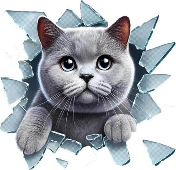 Araba Arka Cam için  Kedi Etiket Sticker 17Cm - Image 1