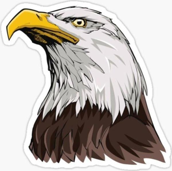 Araba Için Kartal Oto Sticker Yapıştırması Etiket 17cm S2 - Image 1