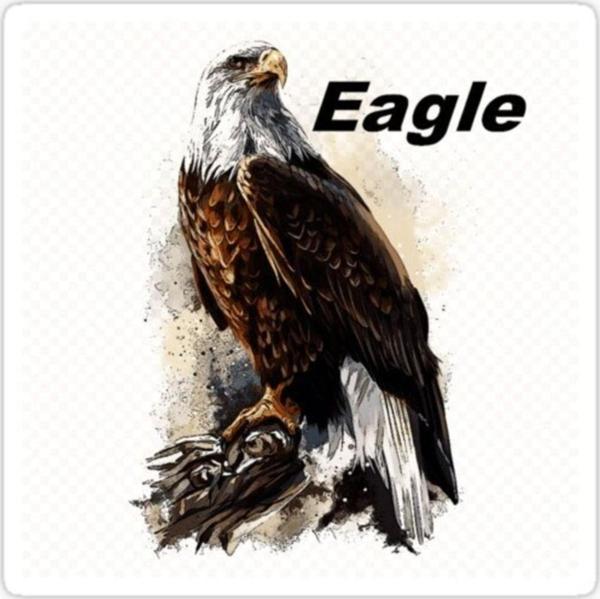 Araba Için Kartal Oto Sticker Yapıştırması Etiket 17cm S4 - Image 1