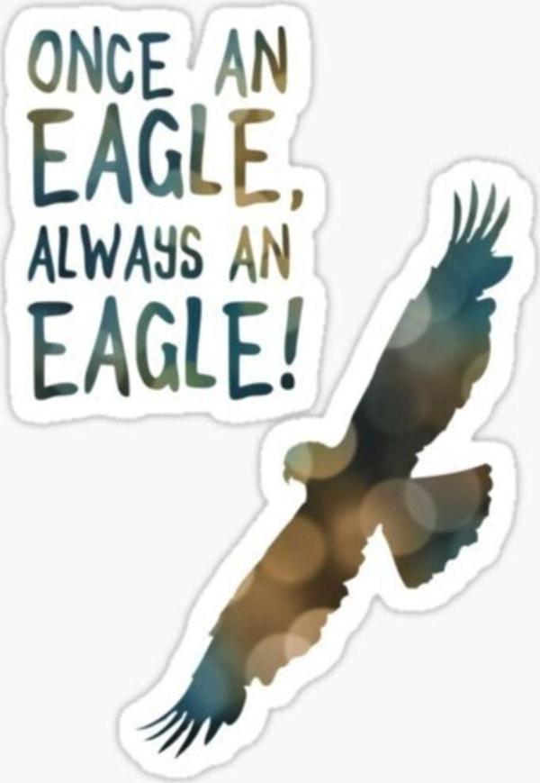 Araba Için Kartal Oto Sticker Yapıştırması Etiket 17cm Z3 - Image 1