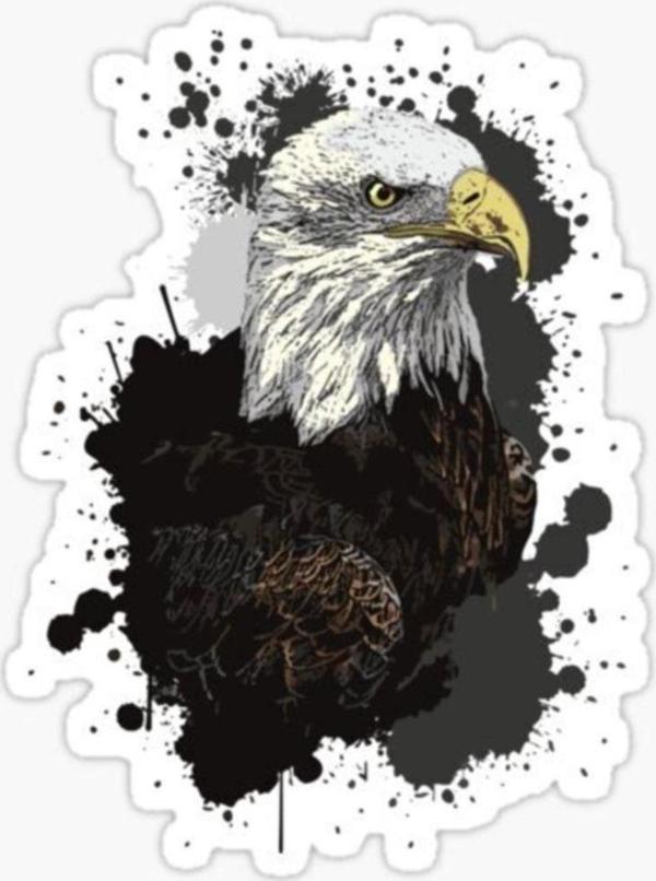 Araba Için Kartal Oto Sticker Yapıştırması Etiket 17cm Zz5 - Image 1