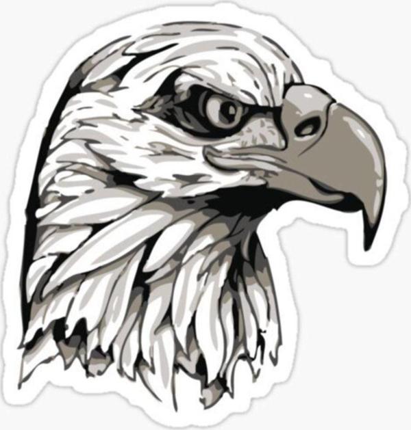 Araba Için Kartal Oto Sticker Yapıştırması Etiket 17cm Zz6 - Image 1