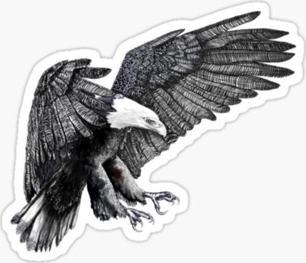 Araba Için Kartal Oto Sticker Yapıştırması Etiket 17cm Zz8 - Image 1
