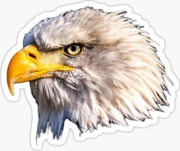 Araba Için Kartal Sticker Yapıştırması Etiket Oto Leptop 17cm - Image 1