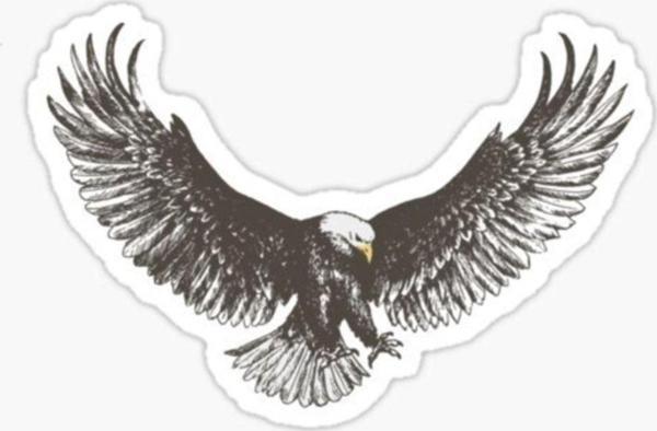 Araba Için Kartal Sticker Yapıştırması Etiket Oto Leptop 17cm X1 - Image 1