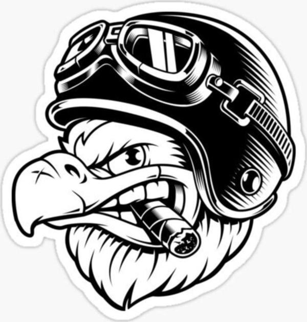 Araba Için Kartal Sticker Yapıştırması Etiket Oto Leptop 17cm Z2 - Image 1