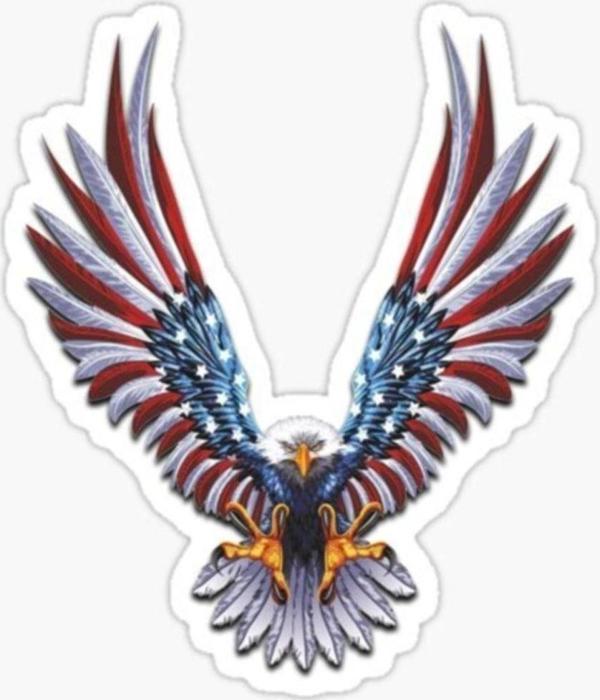 Araba Kartal Sticker Yapıştırması Etiket Amerikan Bayrağı 17cm A3 - Image 1