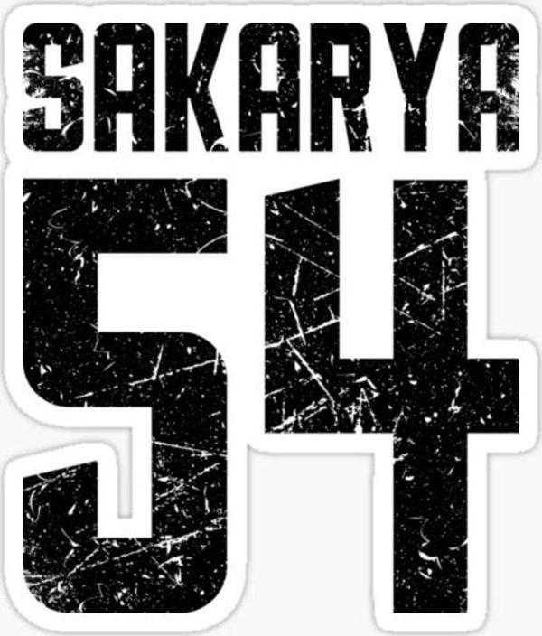 54 SAKARYA Sticker Yapıştırma Oto Etiket 17cm - Image 1