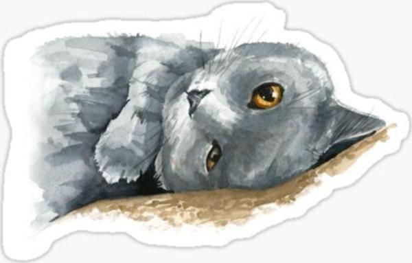 Araba Leptop Için Kedi Oto Sticker Yapıştırması Etiket 17cm Z2 - Image 1