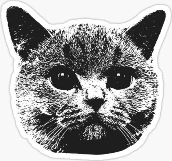 Araba Leptop Için Kedi Oto Sticker Yapıştırması Etiket 17cm Z5 - Image 1