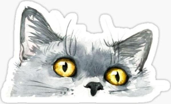 Araba Leptop Için Kedi Tekir Sticker Yapıştırması Etiket 17cm A1 - Image 1