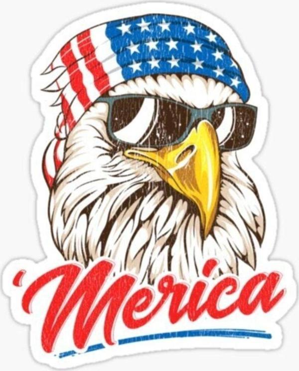 Araba Için Havalı Kartal Sticker Yapıştırması Etiket Oto 17cm Z4 - Image 1