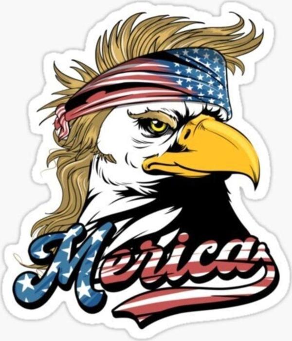 Araba Için Havalı Kartal Sticker Yapıştırması Etiket Oto 17cm Z5 - Image 1