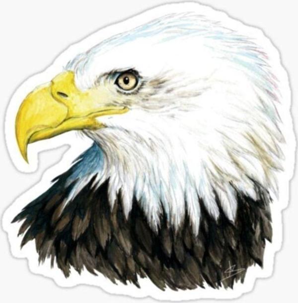 Araba Için Kartal Oto Sticker Yapıştırması Etiket 17cm A2 - Image 1