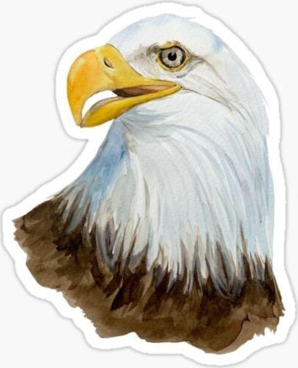 Araba Için Kartal Oto Sticker Yapıştırması Etiket 17cm A6 - Image 1