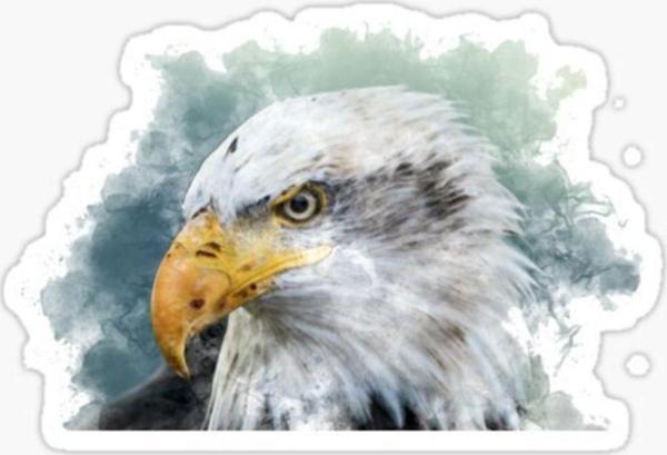 Araba Için Kartal Oto Sticker Yapıştırması Etiket 17cm Aa1 - Image 1