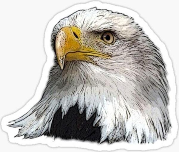Araba Için Kartal Oto Sticker Yapıştırması Etiket 17cm Aa4 - Image 1