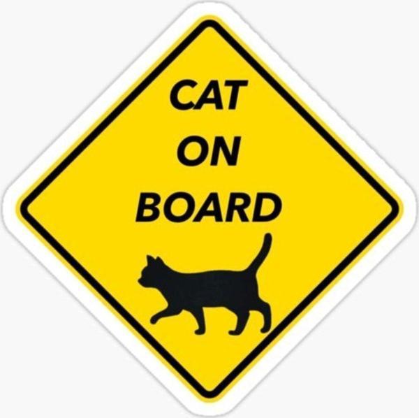 Arabada Kedi var Cats On Board Sticker Yapıştırma 19CM md2 - Image 1