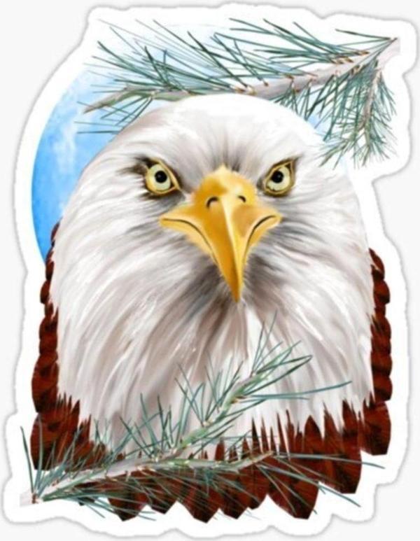 Araba Için Kartal Oto Sticker Yapıştırması Etiket 17cm E5 - Image 1