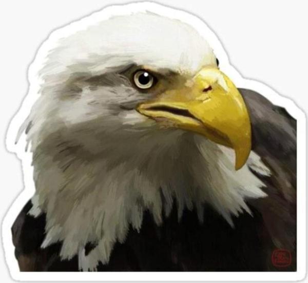 Araba Için Kartal Oto Sticker Yapıştırması Etiket 17cm Q2 - Image 1