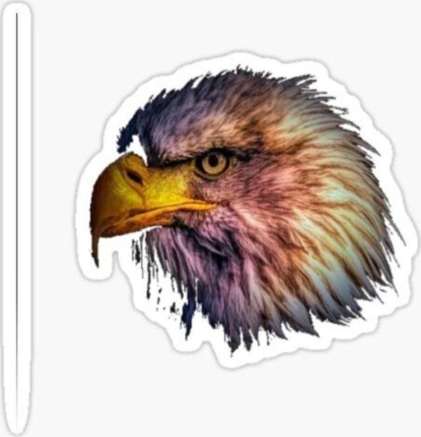 Araba Için Kartal Oto Sticker Yapıştırması Etiket 17cm R3 - Image 1