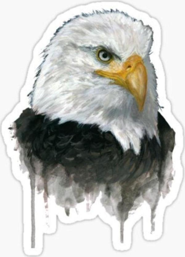 Araba Için Kartal Oto Sticker Yapıştırması Etiket 17cm R4 - Image 1