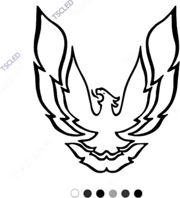 Asil Anka Kuşu Sticker Yapıştırma 17cm - Image 1