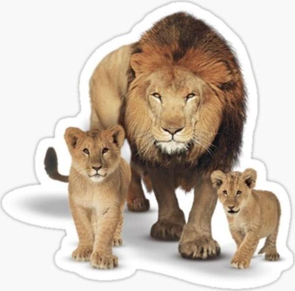Aslan Ailesi Araba Oto Sticker Yapıştırma Etiket 17cm Q9 - Image 1