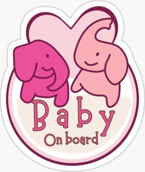 Arabada Bebek Var Sticker oto Yapıştırma Etiket 18cm MD1 - Image 1