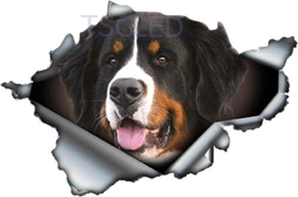 Bernese Dağ Köpeği Yırtık Metal Araba Sticker Su Geçirmez - Image 1