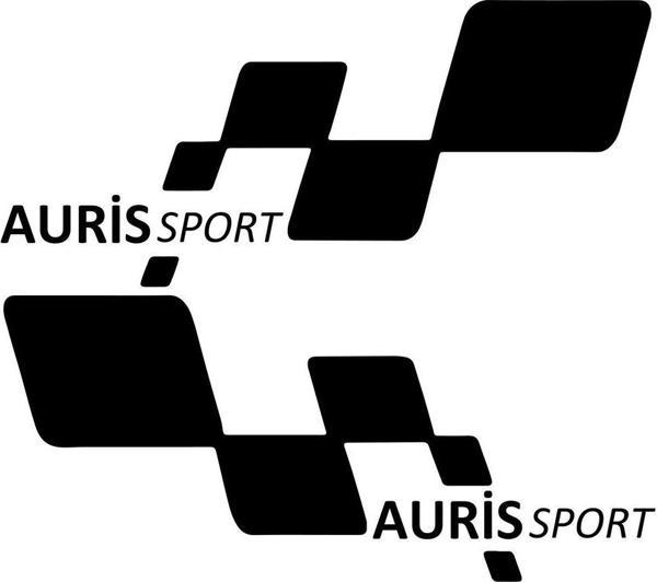 AURİS sport Etiket Yapıştırma 30cmx11cm MMD154 - Image 1