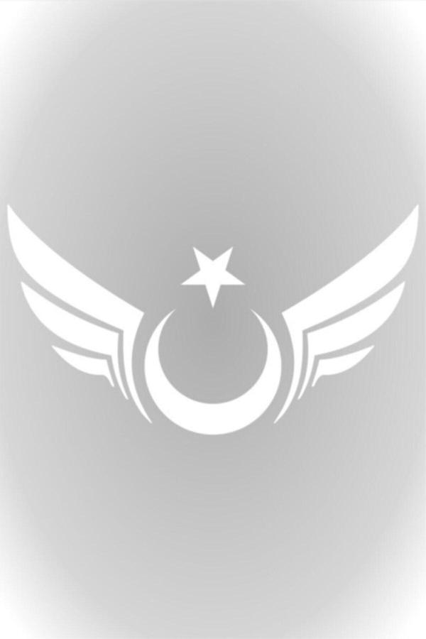 Beyaz Kanatlı Ay Yıldız Sticker Oto Araba Sticker - Image 1
