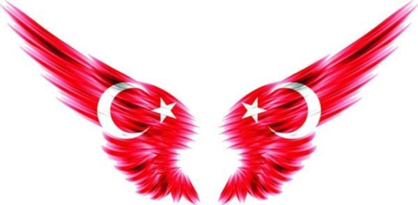 Ay Yıldız Araba Aynası Sticker Yapıştırması - Image 1