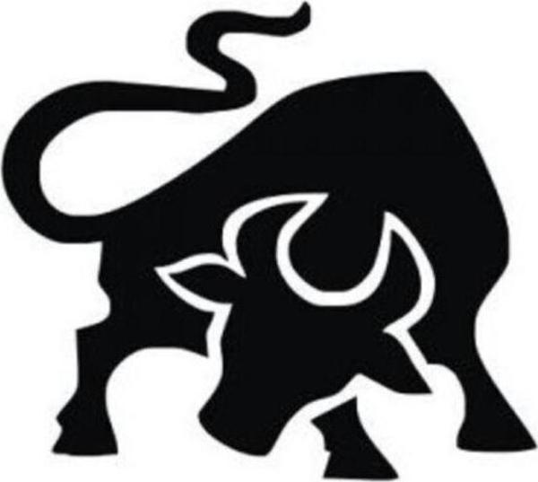 Boğa Oto Sticker Yapıştırma Cam Kapı Çamurluk - Image 1