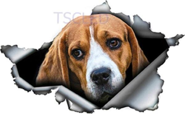Beagle Yırtık Metal Araba Sticker Su Geçirmez Çıkartma - Image 1